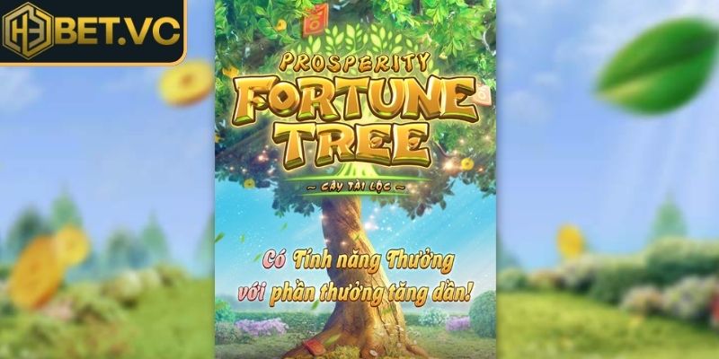 Tổng quan về cây tài vượng H3BET
